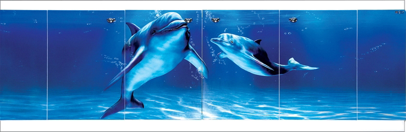 Экран Misty Дельфин 150 см